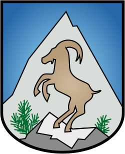 Wappen Mittelberg